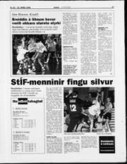 Síða 17