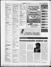 Síða 28
