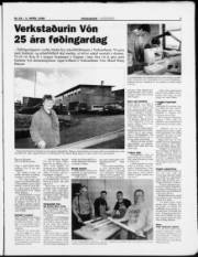 Síða 7