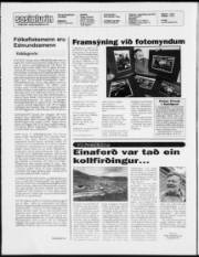 Síða 2