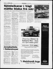 Síða 3