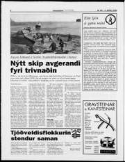 Síða 6