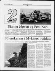 Síða 13