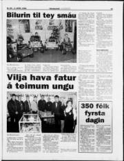 Síða 22