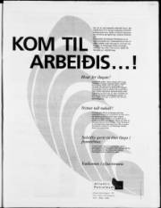 Síða 3