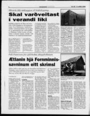 Síða 6