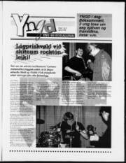 Síða 15