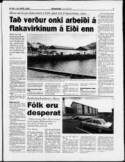 Síða 3