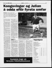 Síða 17
