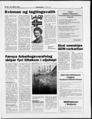 Síða 19