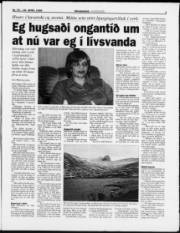 Síða 3
