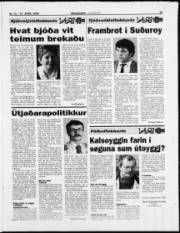 Síða 19