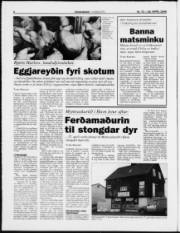 Síða 6