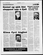 Síða 23