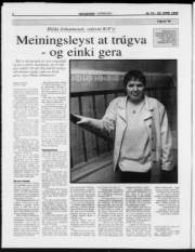Síða 4