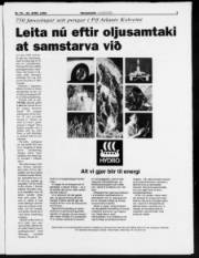 Síða 3