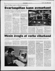 Síða 6