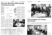 Síða 12