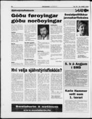 Síða 25