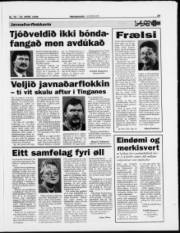 Síða 19
