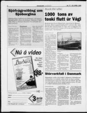 Síða 6