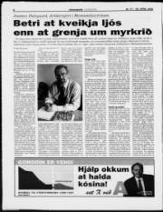 Síða 8