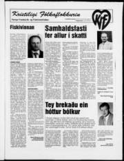 Síða 25