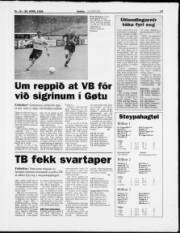 Síða 17