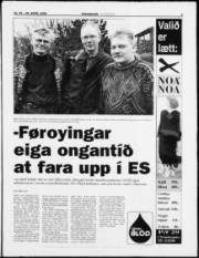Síða 5