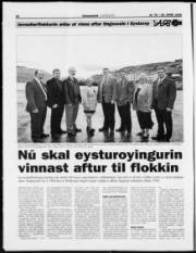Síða 20