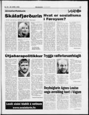 Síða 32