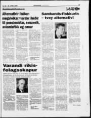 Síða 25