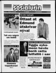 Síða 1