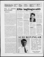 Síða 2