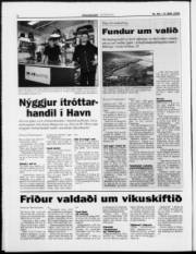 Síða 6
