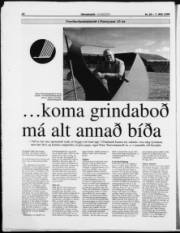 Síða 17
