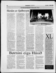 Síða 19