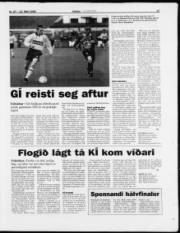 Síða 17