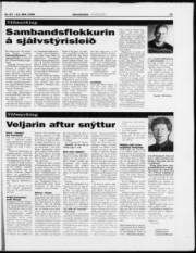 Síða 21