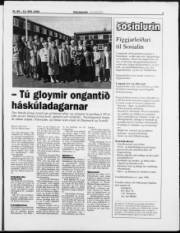 Síða 3