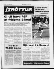 Síða 17