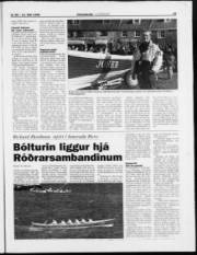 Síða 19