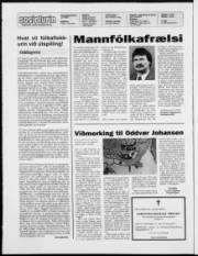Síða 2
