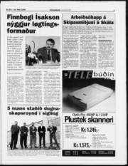 Síða 3