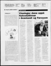 Síða 2
