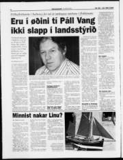 Síða 6