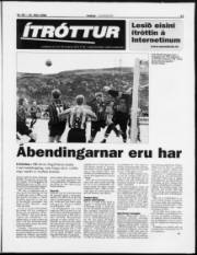 Síða 13