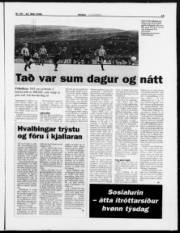 Síða 15