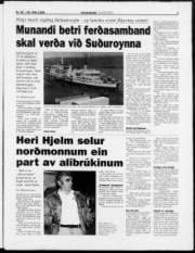 Síða 3