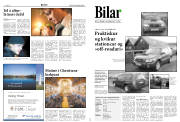 Síða 9